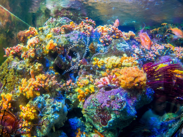 新江ノ島水族館-3