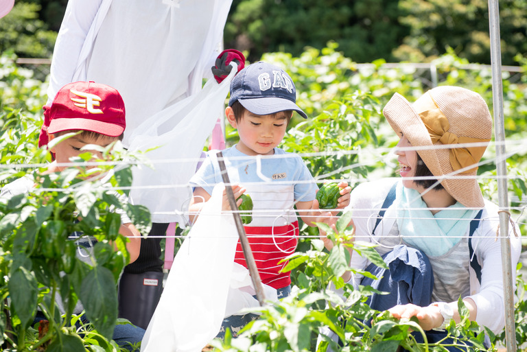 山田農場_夏野菜の会2018_23