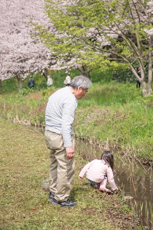 ザリガニとり