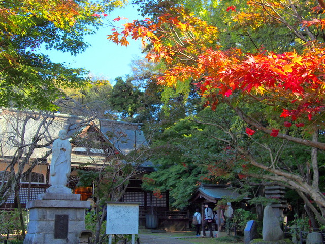 紅葉２