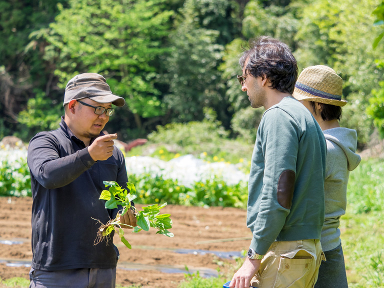 山田農場の４月‐１