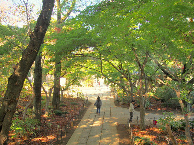 本土寺・参道