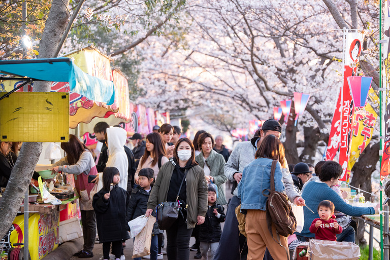 海老川の桜と屋台
