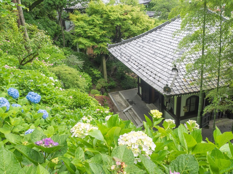 長谷寺-３