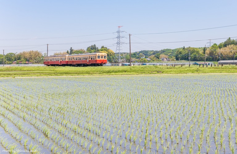 小湊鉄道2016年5月5日-14（上総三又駅）