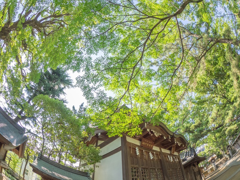 船橋大神宮３