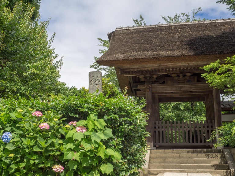 極楽寺-３