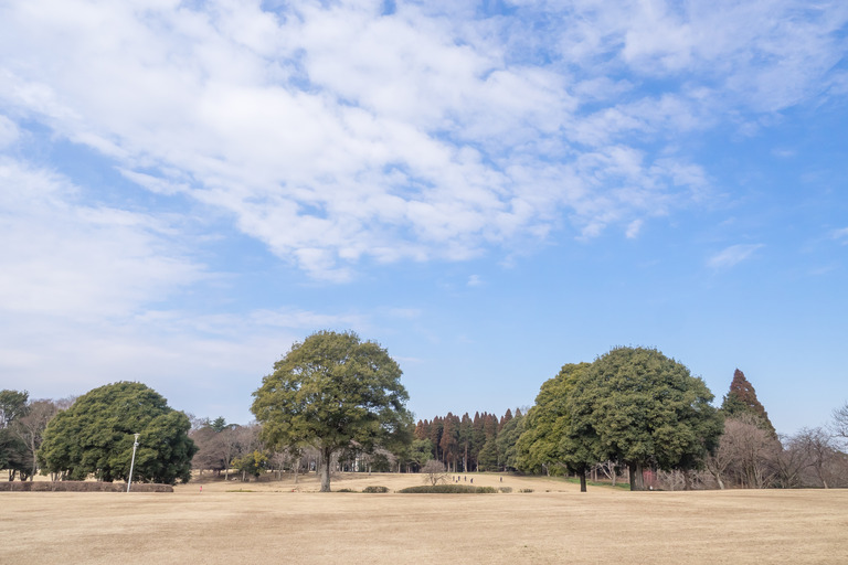 千葉市・昭和の森公園