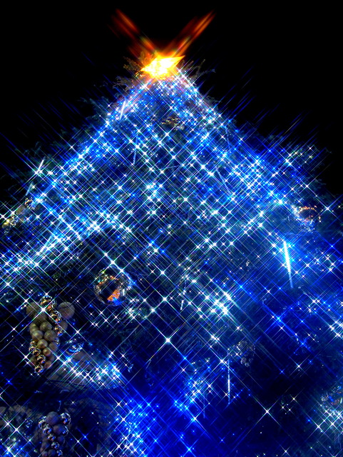 西船橋駅北口のクリスマスツリー2014②