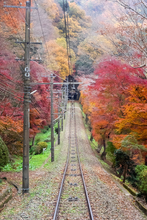 紅葉の高尾山ケーブルカー_2
