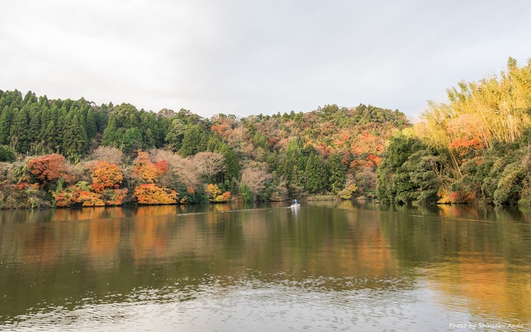 君津市亀山湖の紅葉クルーズ20161211-1