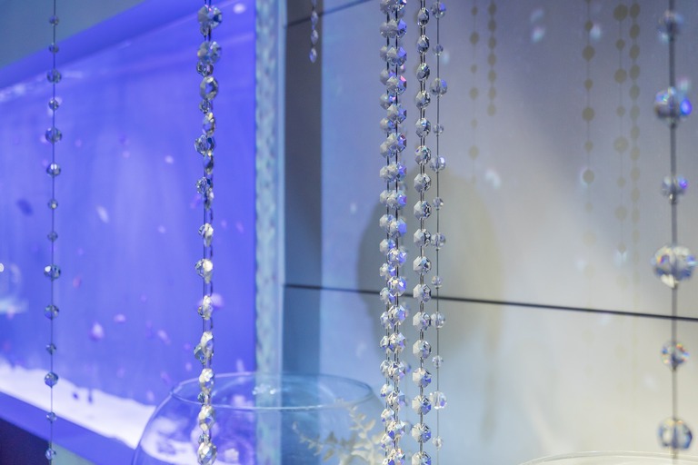 snow aquarium-12