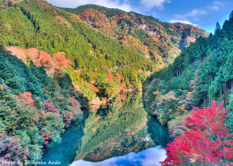 奥多摩の紅葉2015｜白丸「数馬峡橋」-1-name