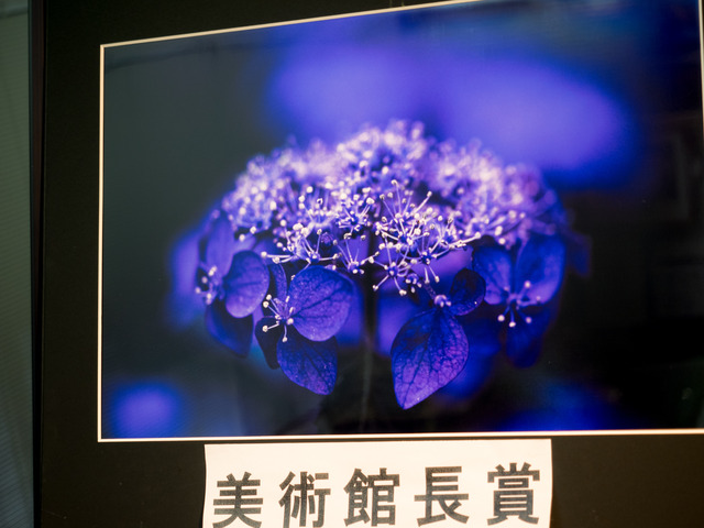 賞をとった写真