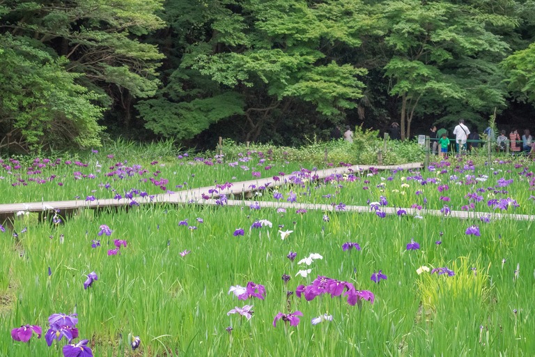 泉谷公園・水生植物園-1