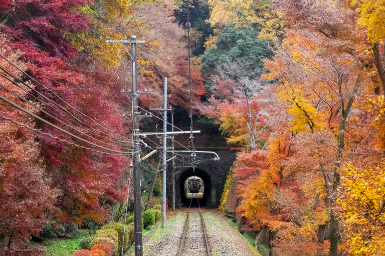 紅葉の高尾山ケーブルカー_3