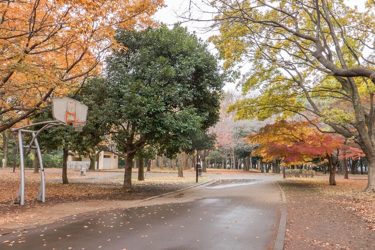 公園-2