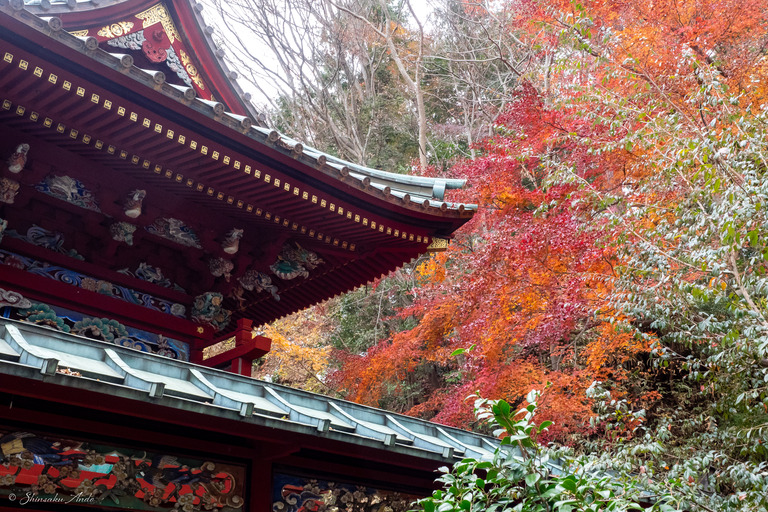 高尾山の紅葉_5