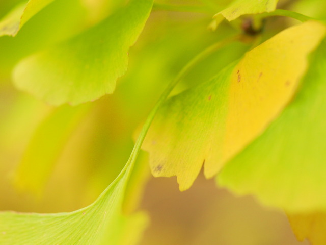 20141101-4