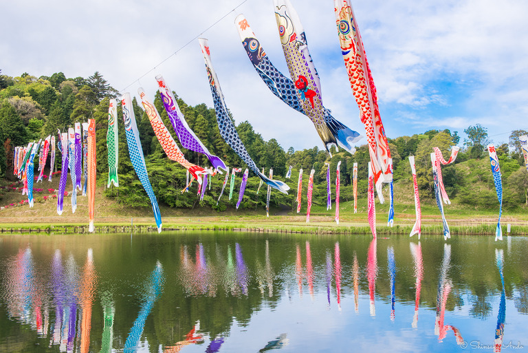 千葉県香取市｜いきいき山田・鯉のぼりまつり-1