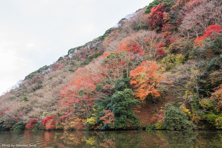 君津市亀山湖の紅葉クルーズ20161211-6