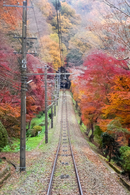 高尾山ケーブルカーからの紅葉_2