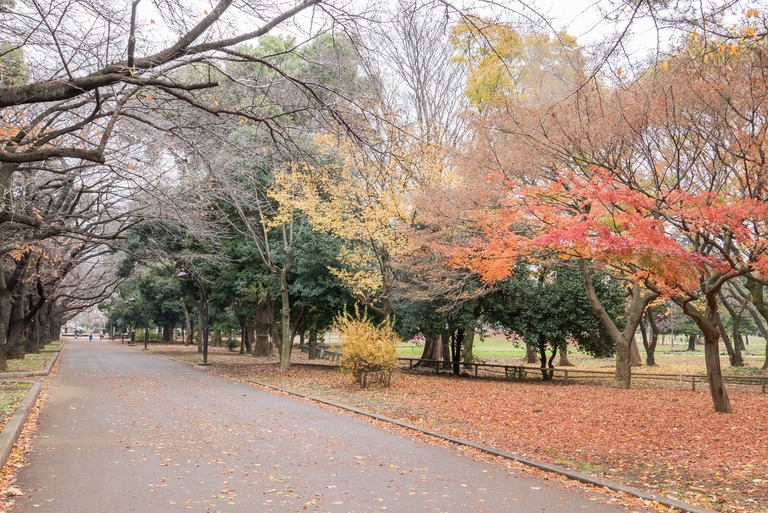 公園-4