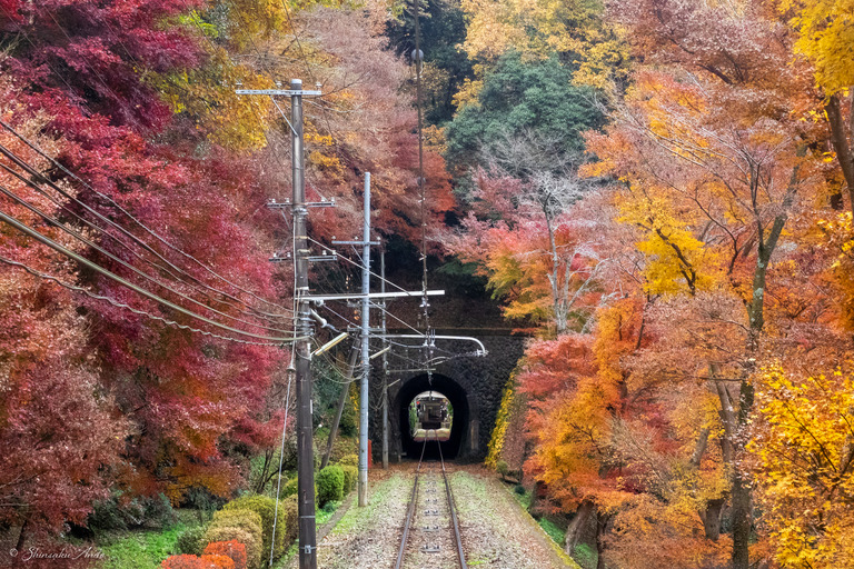 高尾山ケーブルカーからの紅葉_3