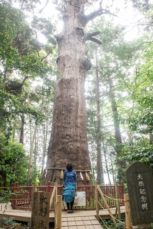 成田_麻賀多神社_20190518_5
