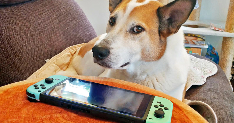 ニンテンドースイッチ
