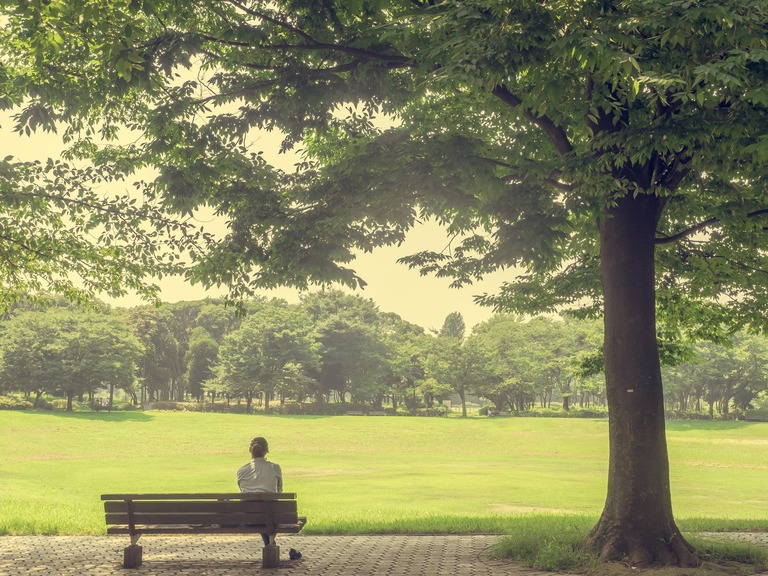帰り道の公園