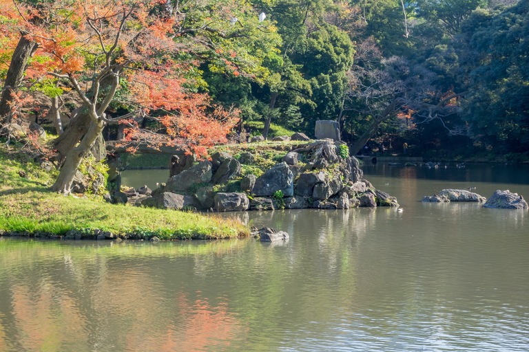 小石川後楽園の紅葉20151212-５