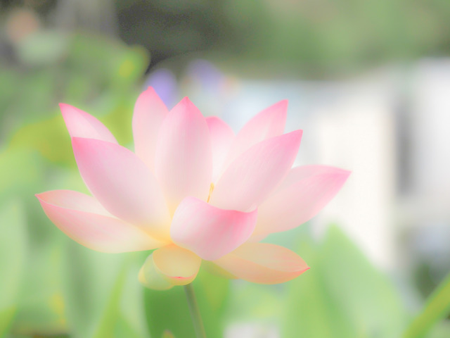 sample-4