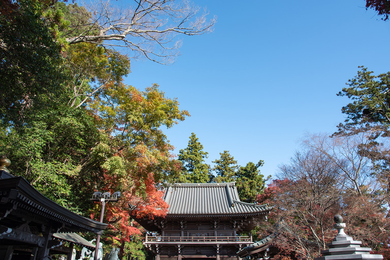高尾山紅葉ハイキング2020_6