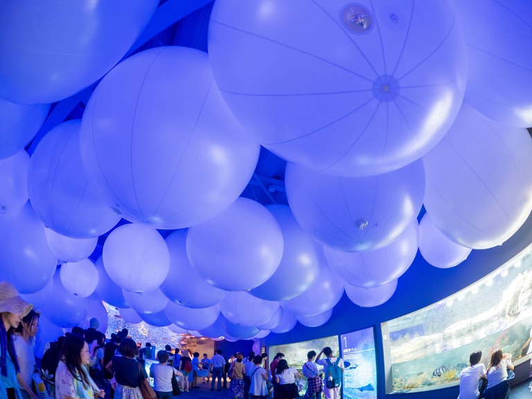 新江ノ島水族館-1