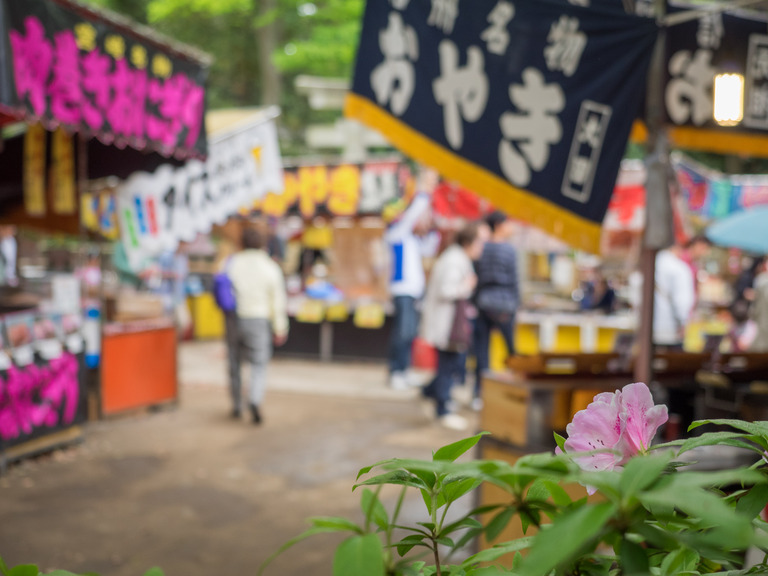 根津神社｜文京つつじまつり20150425-14