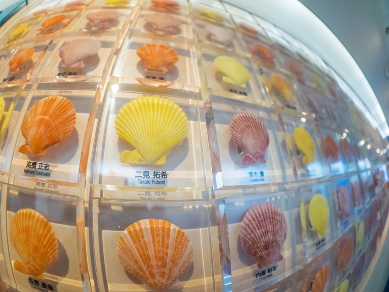 新江ノ島水族館-13