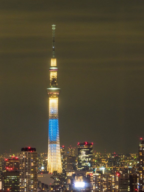 東京貿易センタービルから観る東京スカイツリー20151031-２