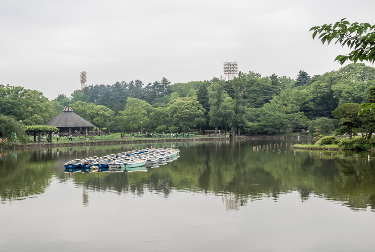 千葉公園20150614（くもり）