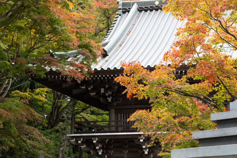 高尾山の紅葉ハイキング_6