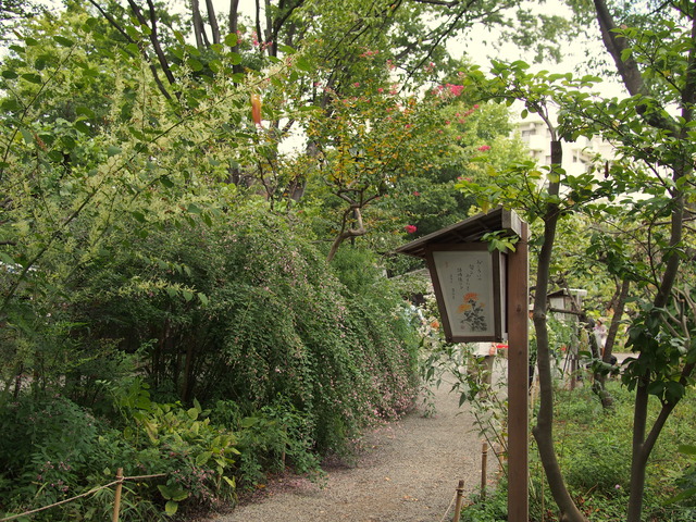 向島百花園・園内
