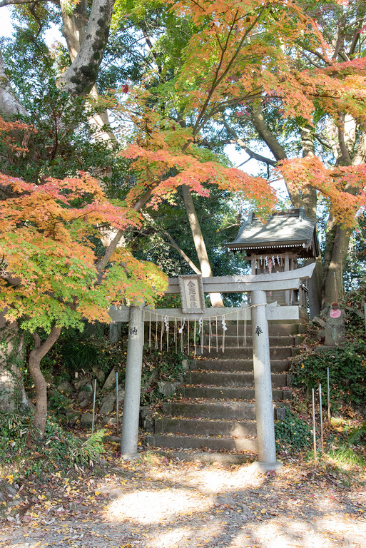 高尾山紅葉ハイキング2020_5