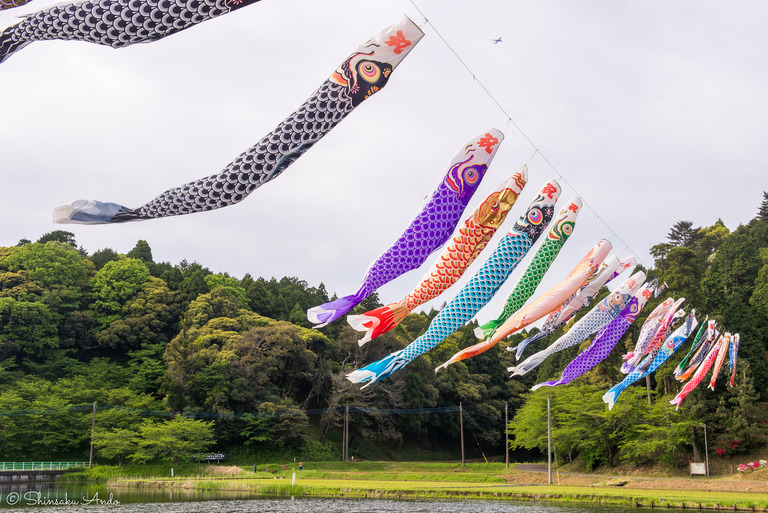 千葉県香取市｜いきいき山田・鯉のぼりまつり-5
