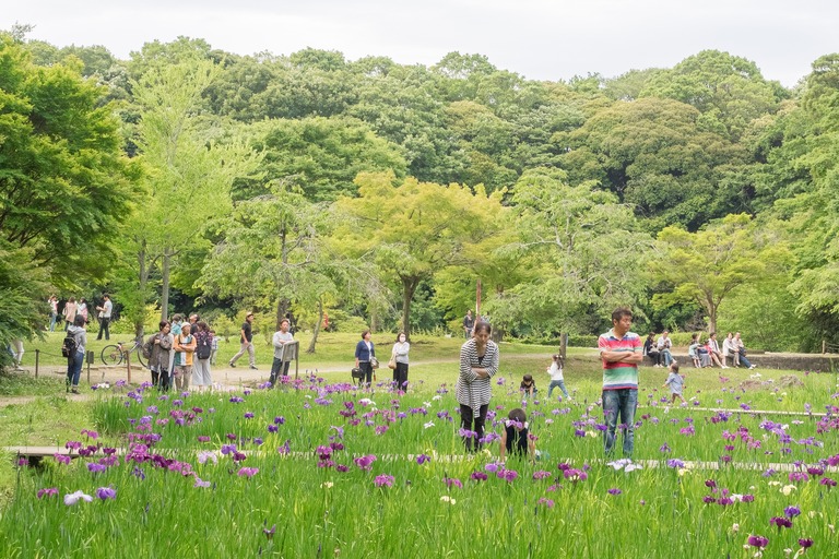 泉谷公園・水生植物園-2