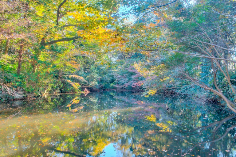 御滝不動尊の紅葉-1