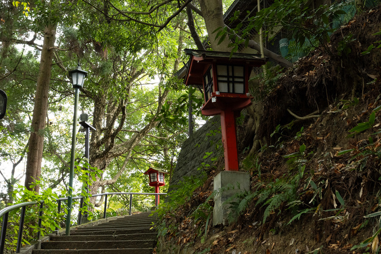 高尾山の紅葉ハイキング_7
