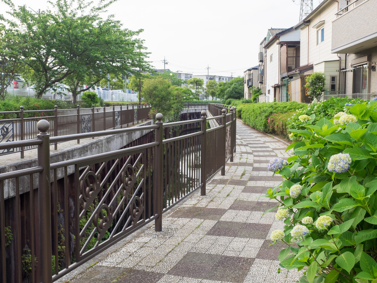 川沿いの道