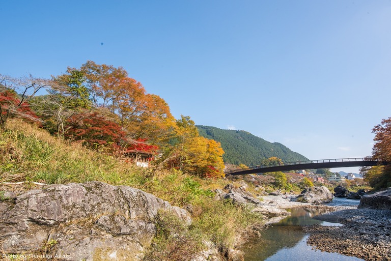 奥多摩の紅葉2016（御岳渓谷～軍畑駅）-5