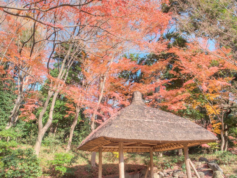 小石川後楽園の紅葉20151212-４