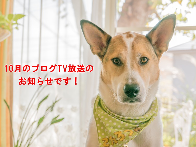 10月のお知らせ